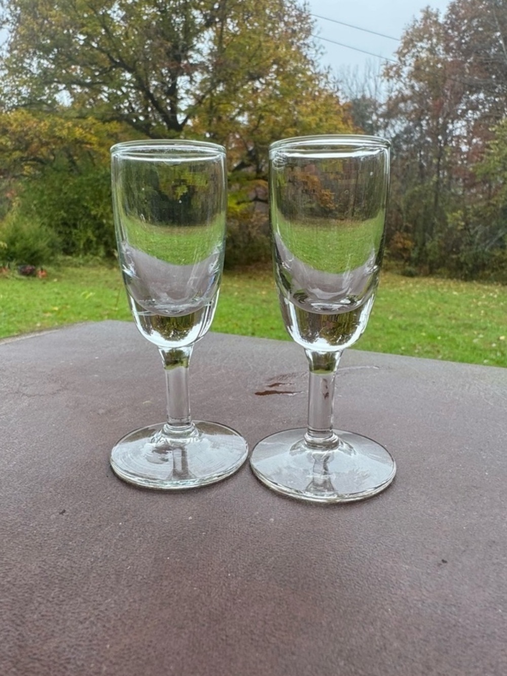 SET OF TWO VINTAGE CORDIAL GLASSES